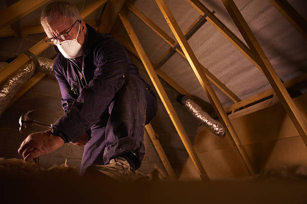 Best Cellulose Insulation in Jackson, WI